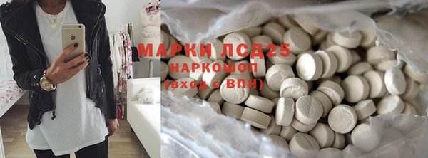 гашик Корсаков