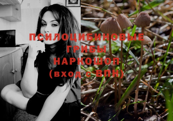 круглые Козельск
