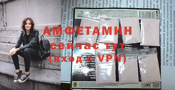молекула духа Козловка