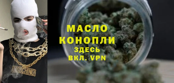 молекула духа Козловка