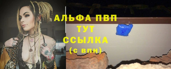 гашик Корсаков