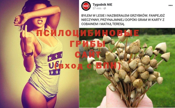 дмт Коряжма
