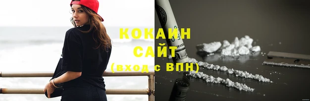 молекула духа Козловка