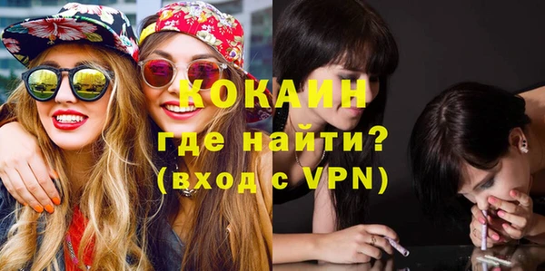 мдпв Кодинск