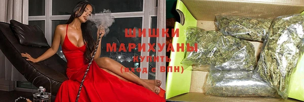 гашик Корсаков