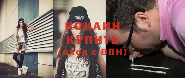 мдпв Кодинск