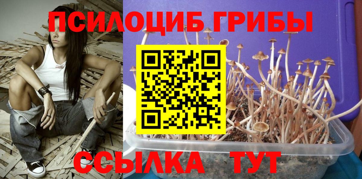 Псилоцибиновые грибы ЛСД Элиста
