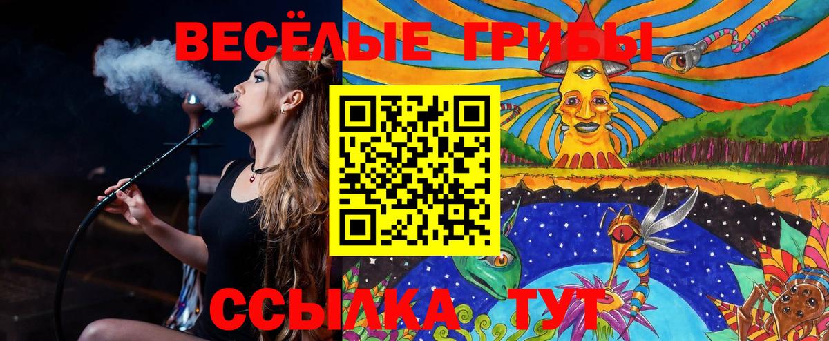 Галлюциногенные грибы Cubensis  Вход с VPN  Элиста 