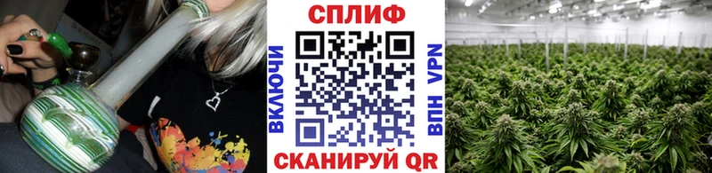 Каннабис семена  наркотики  Элиста 