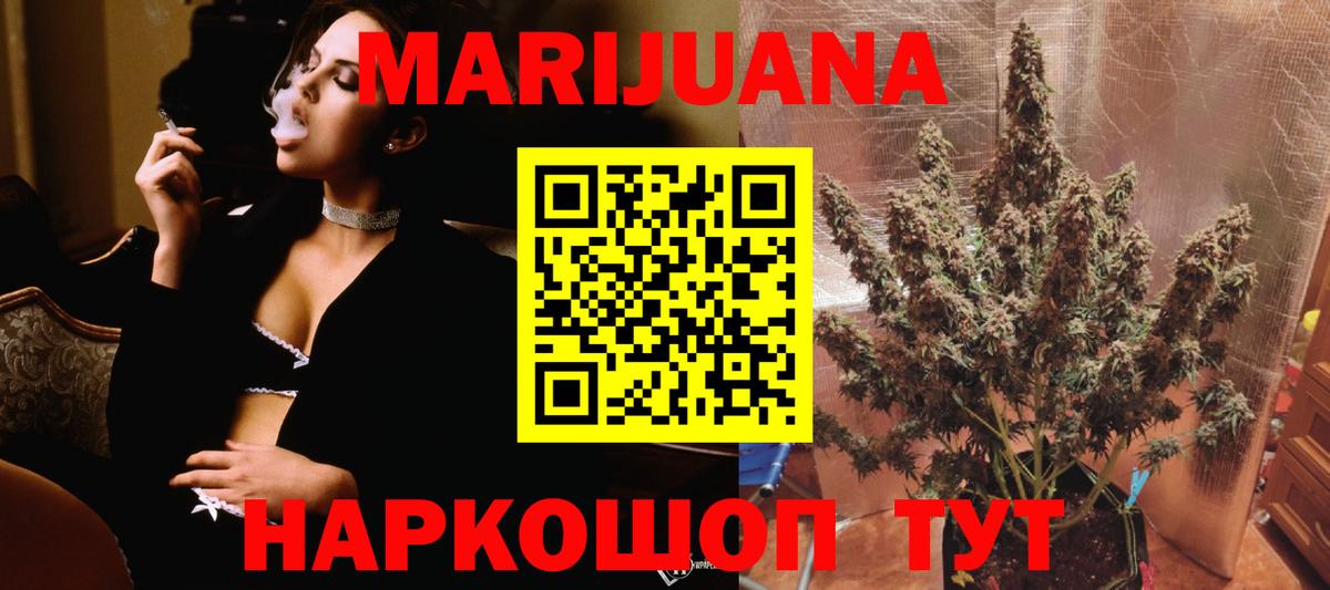 Конопля планчик Элиста